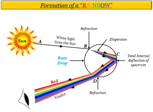 what-is-a-draw-a-labelled-diagram-to-show-the-formation-of-a-rainbow